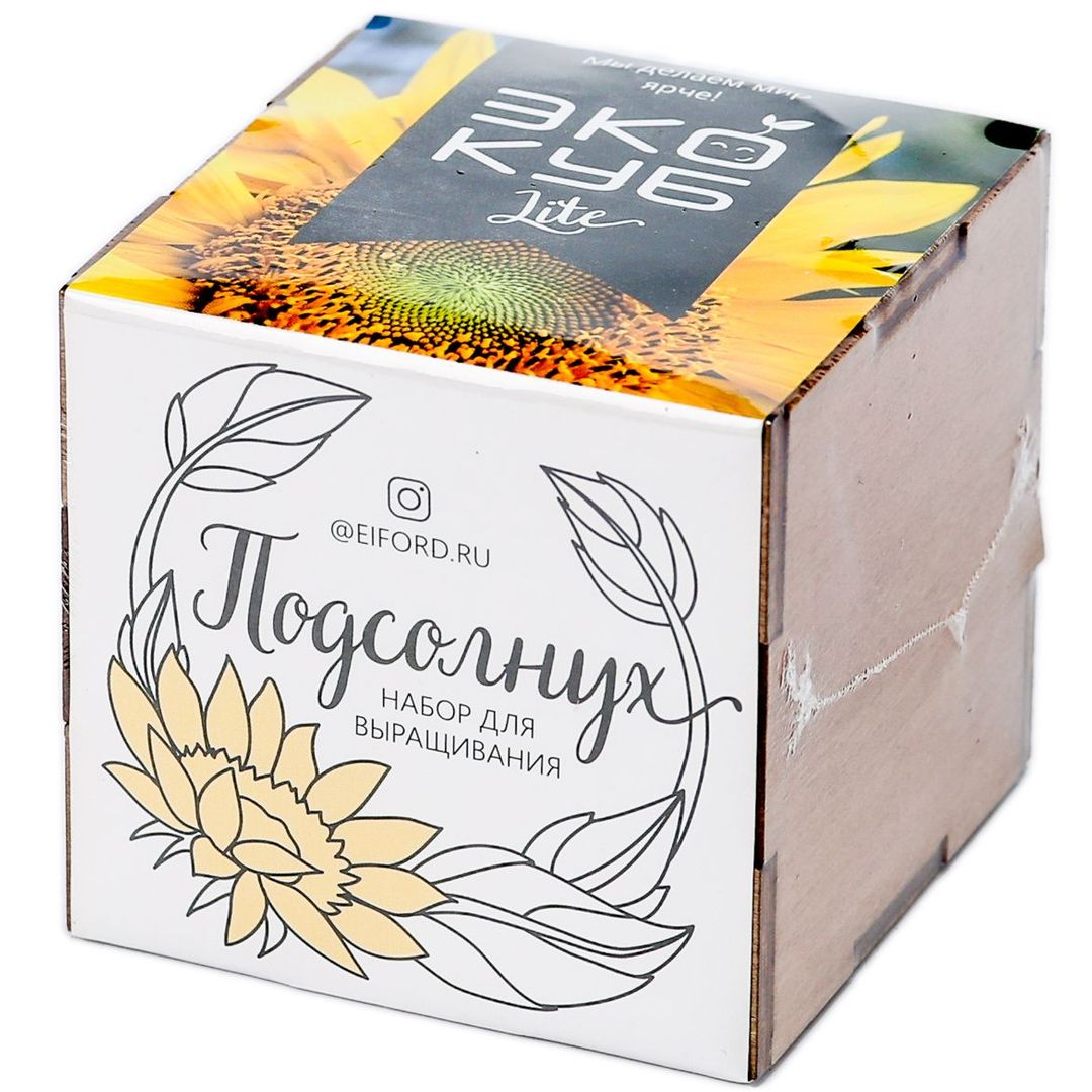 Набор для выращивания Подсолнух Набор для выращивания Подсолнух