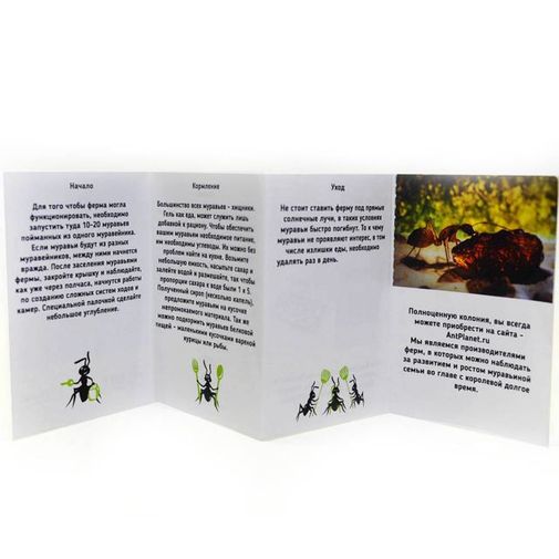 Муравьиная ферма с подсветкой Ant Space