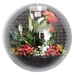 Настенный флорариум Flandriss Miniball Black 3D