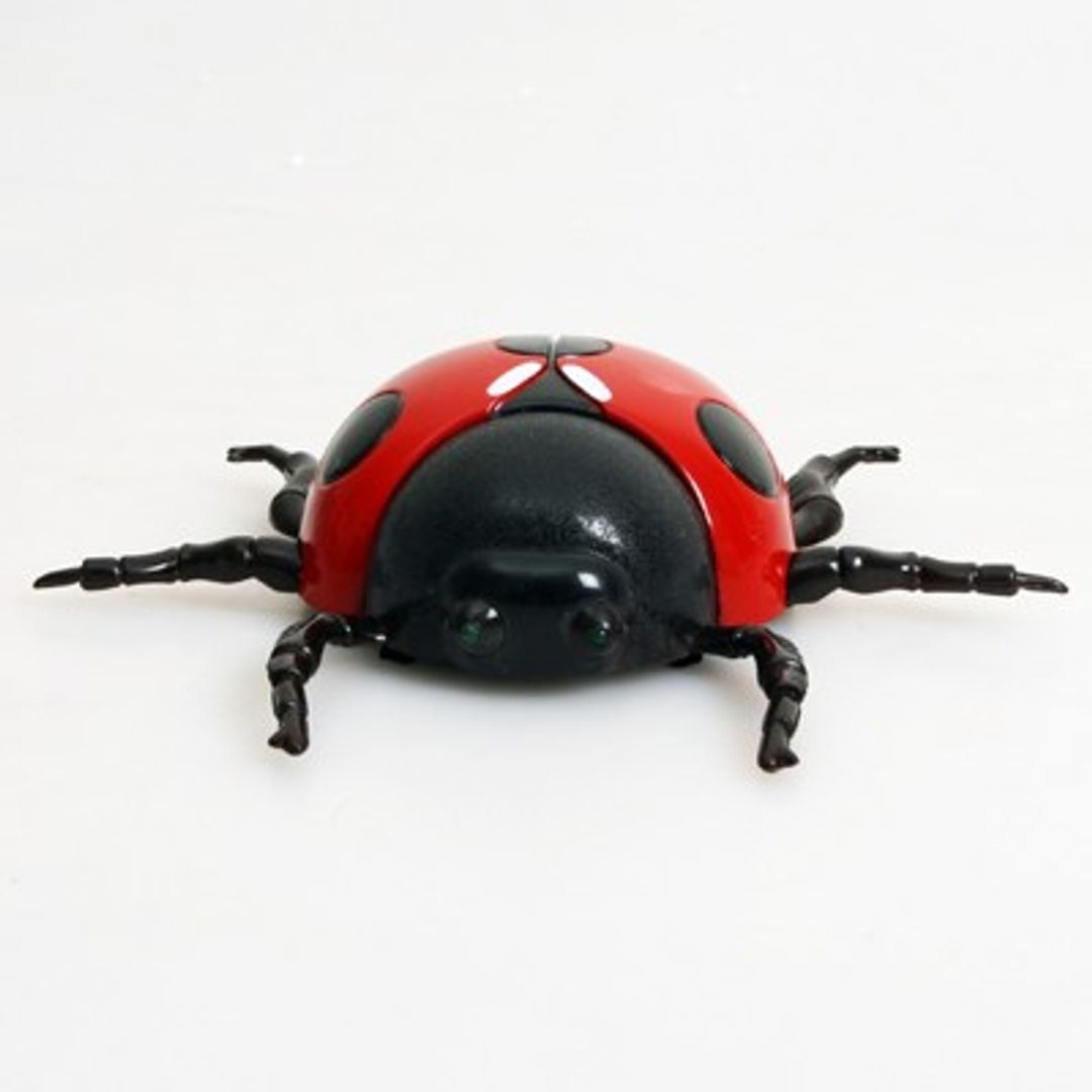 Антигравитационная игрушка Божья коровка Антигравитационная игрушка Божья коровка