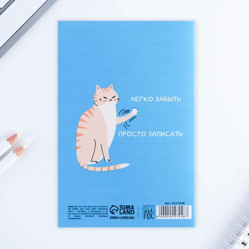 Блокнот Записки котика (А6)