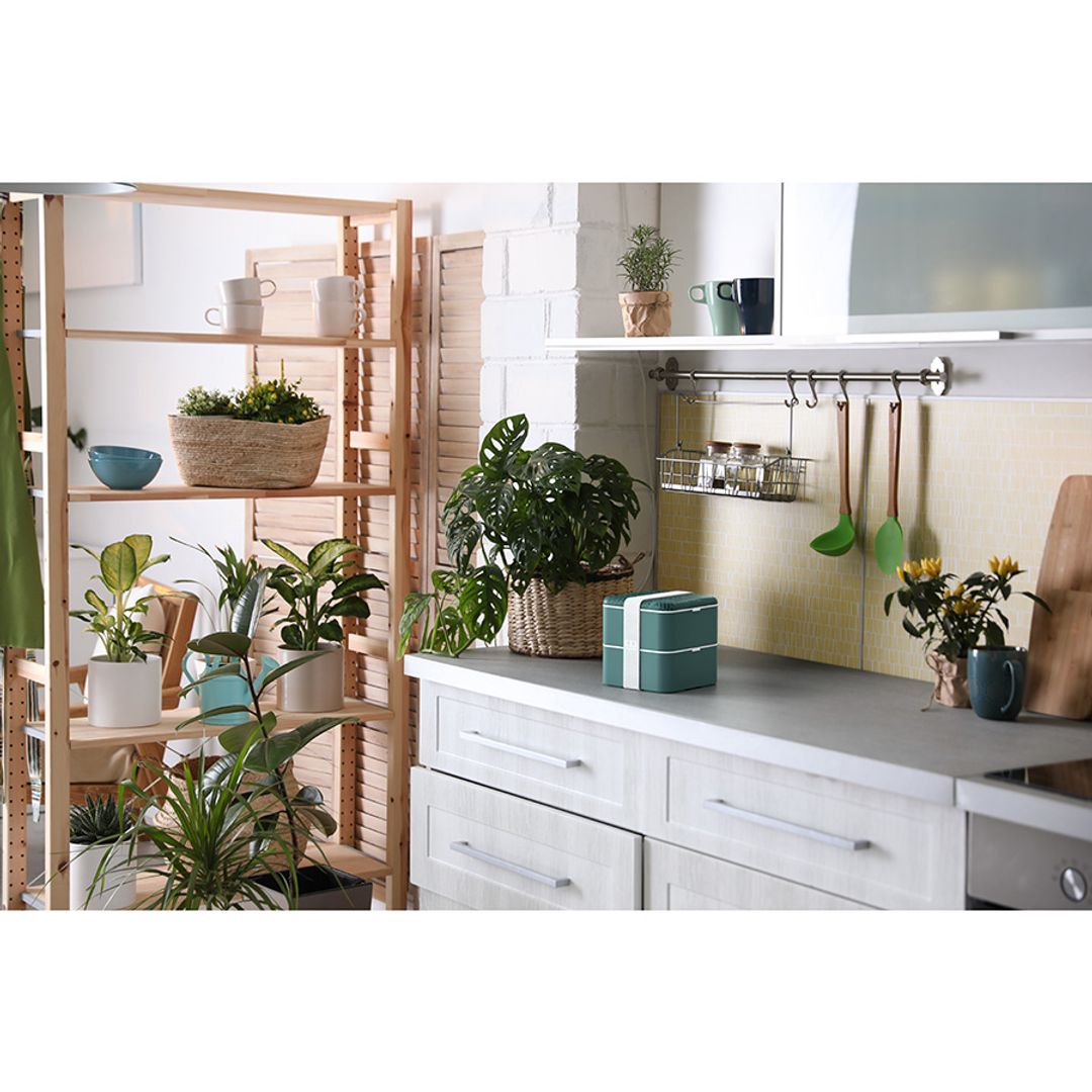 Ланч-бокс Monbento Square (Jungle) Ланч-бокс Monbento Square (Jungle)