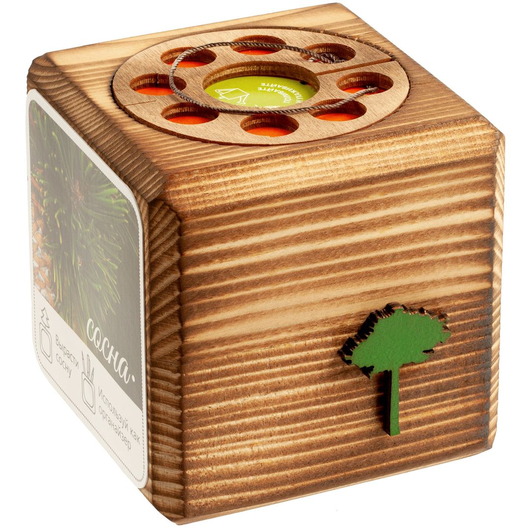 Набор для выращивания с органайзером Экокуб Burn (Сосна)