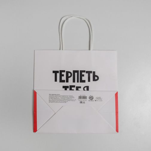 Подарочный пакет Терпеть тебя не могу (22 х 22 х 11 см)