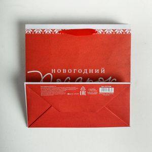 Подарочный пакет Новогодний подарок (22 х 22 х 11 см)