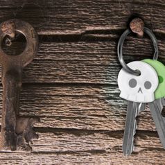 Чехлы для ключей Череп Skeleton Keys