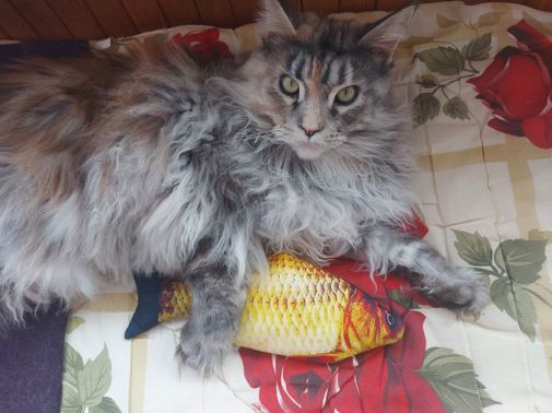 Фото покупателя Алена  Фото покупателя Алена