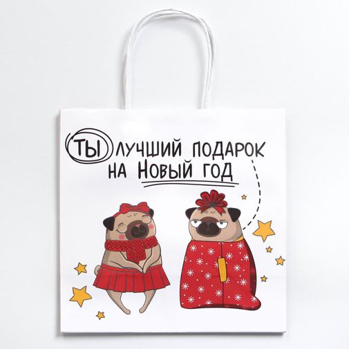 Подарочный пакет Ты - лучший подарок (22 х 22 х 11 см)