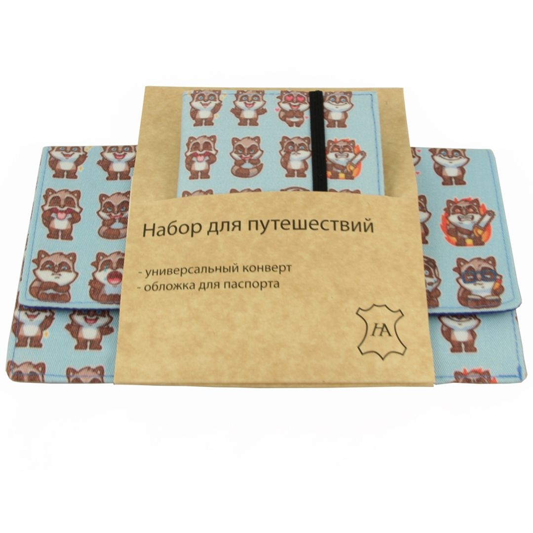 Набор для путешествий Raccoon Конверт и обложка для паспорта в упаковке