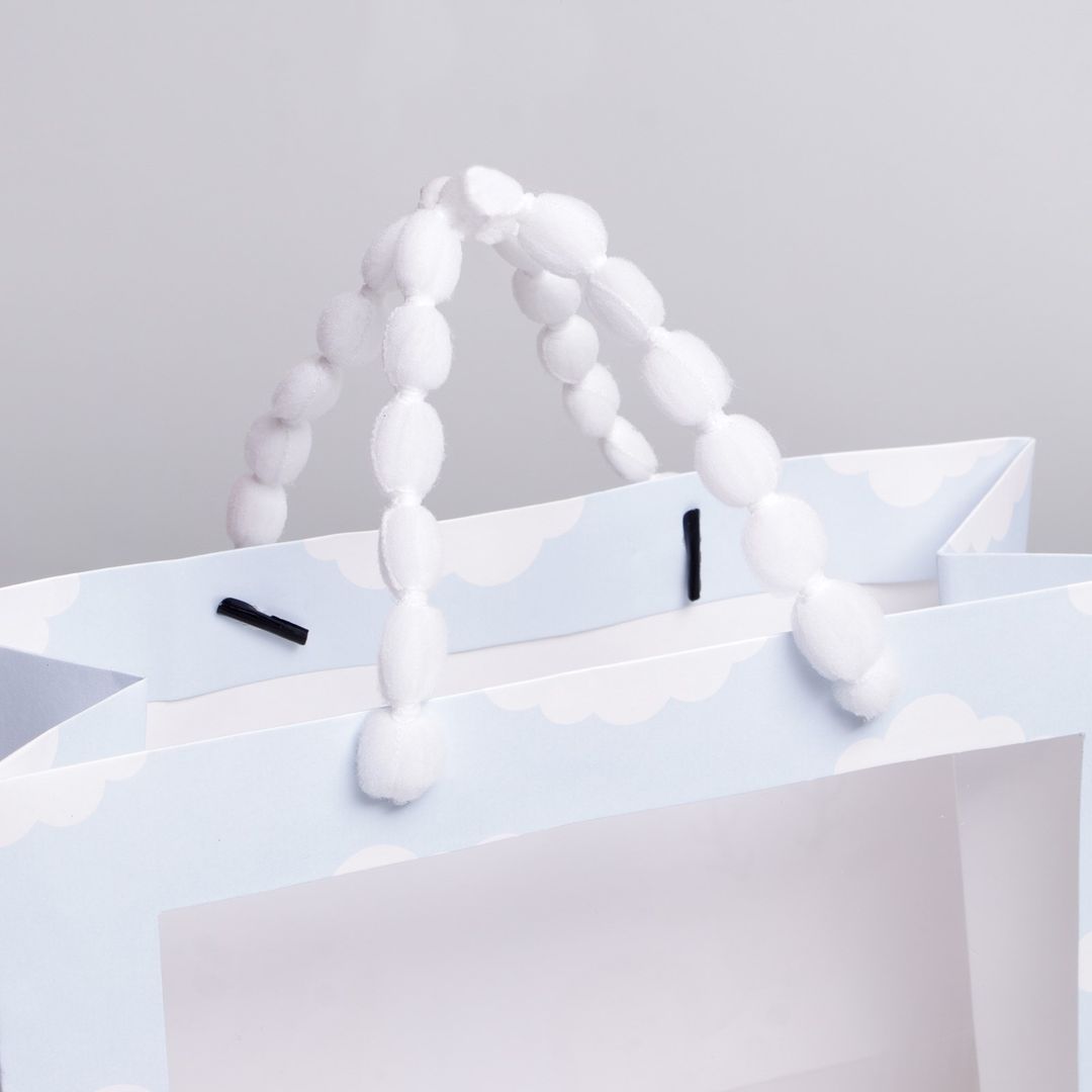 Подарочный пакет с пластиковым окном Friends (24 х 20 х 11 см) Подарочный пакет с пластиковым окном Friends (24 х 20 х 11 см)