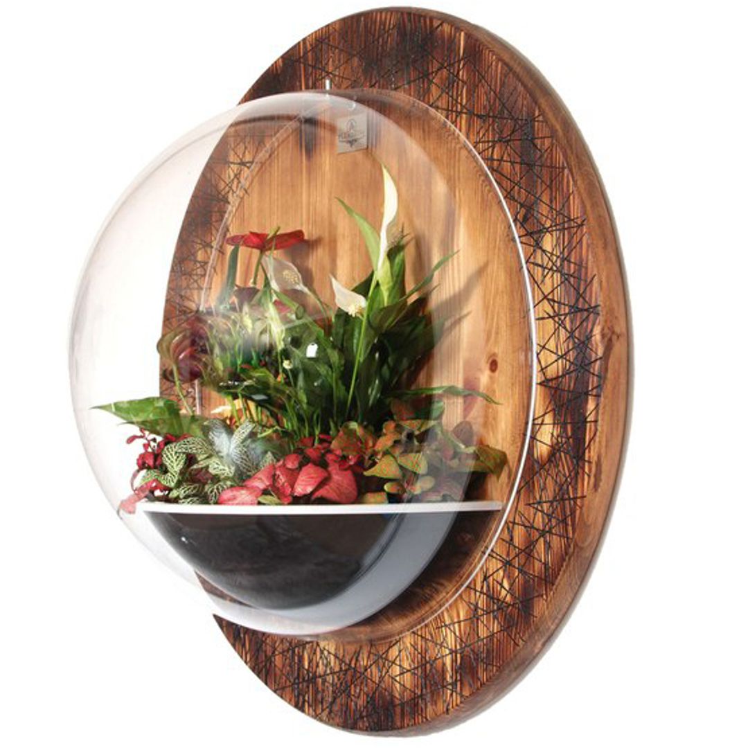 Настенный флорариум Flandriss Ignis Liberandum