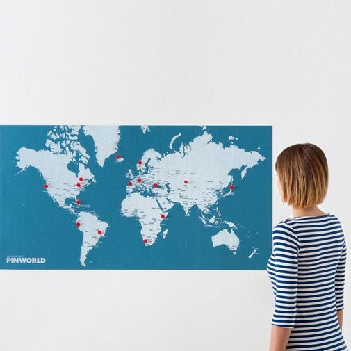 Карта мира Palomar Pin World