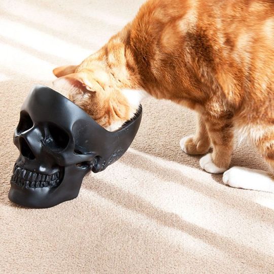 Настольный органайзер Череп Skull