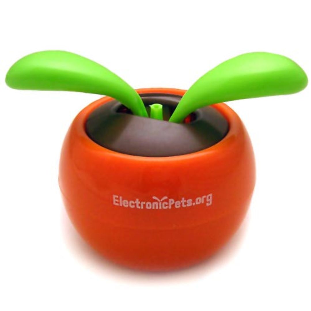 Цветок Flip Flap В Оранжевом горшочке