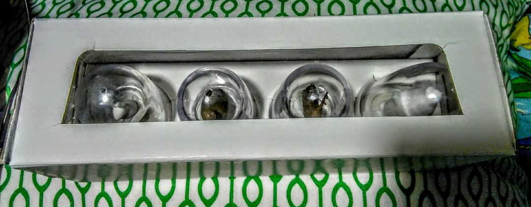 Фото покупателя Мария