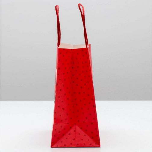 Подарочный пакет Ого! Какой подарок Подарочный пакет Ого! Какой подарок